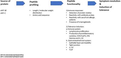 Differences between peptide profiles of extensive hydrolysates and their influence on functionality for the management of cow's milk allergy: A short review